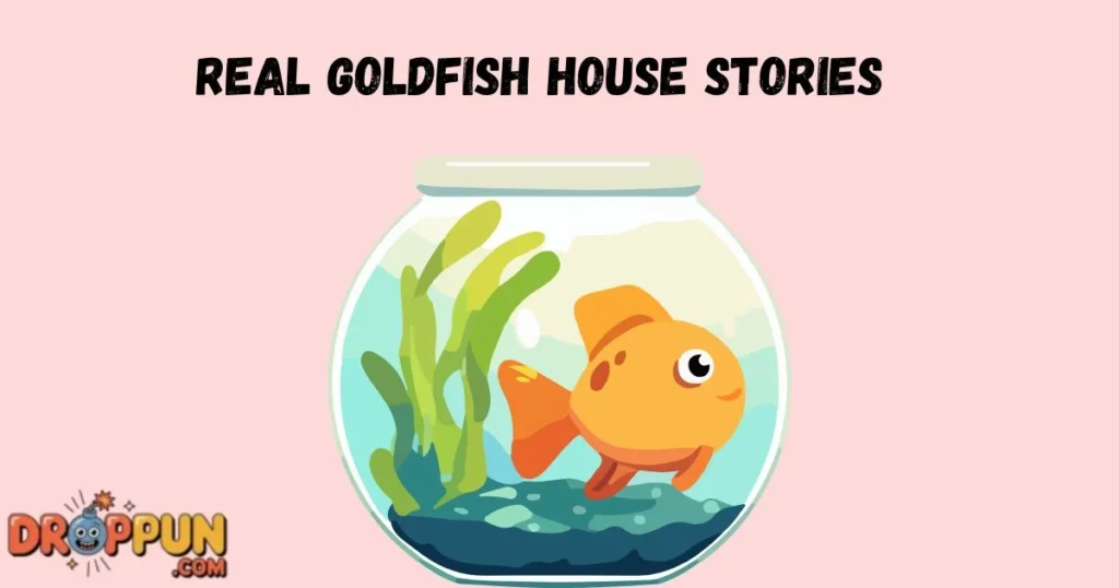Real Goldfish House Stories