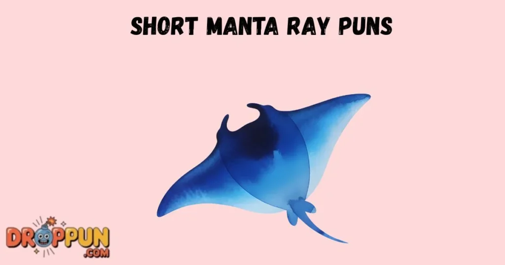 Short Manta Ray Puns