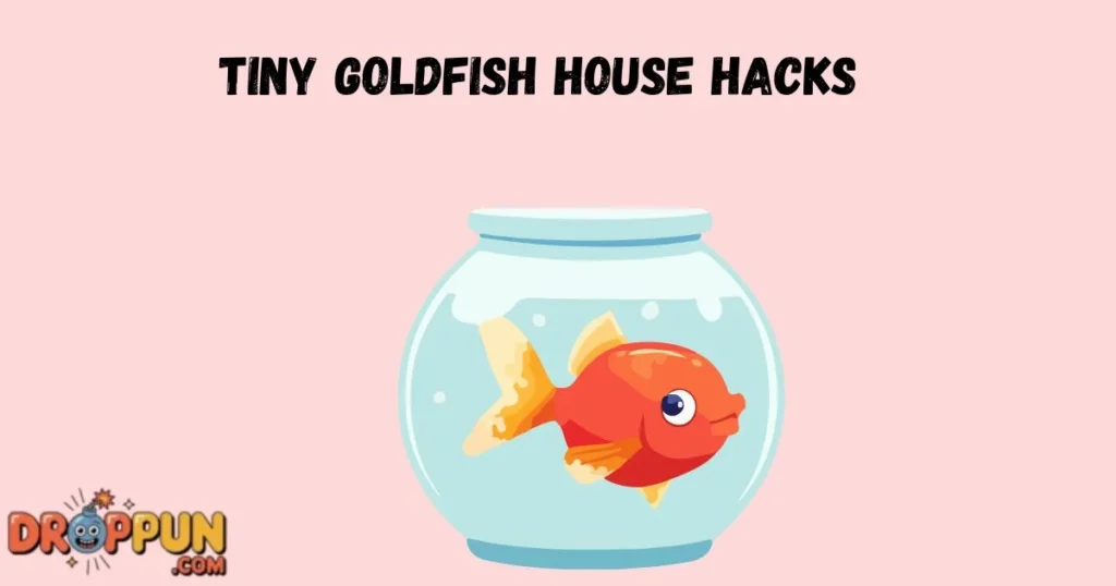 Tiny Goldfish House Hacks