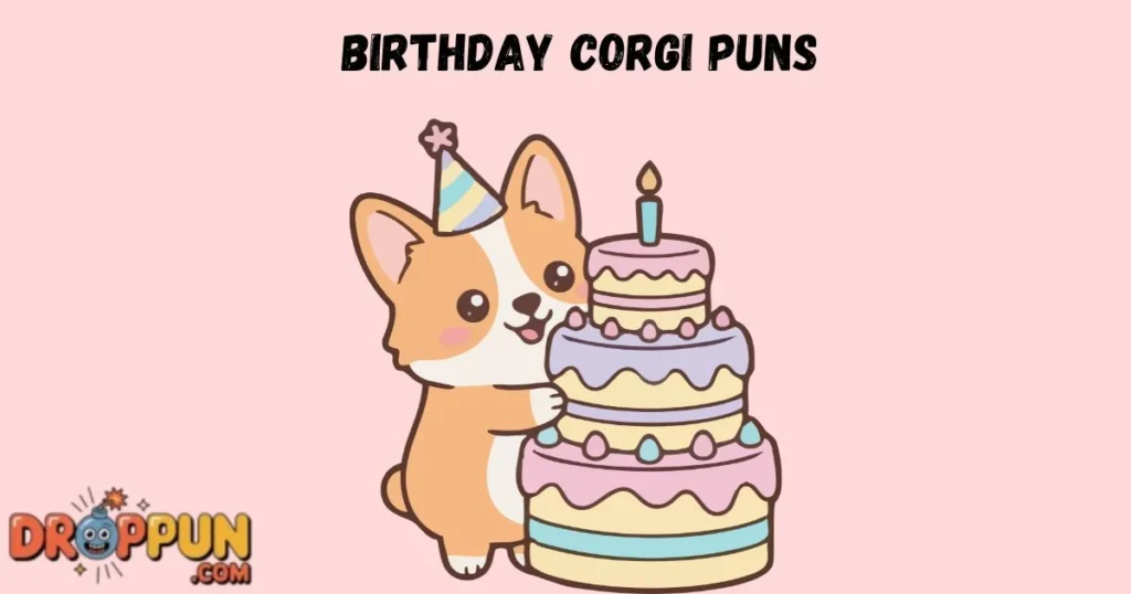 Birthday Corgi Puns
