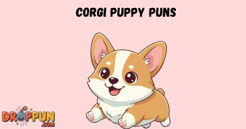 Corgi Puppy Puns
