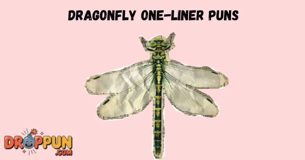 Dragonfly One Liner Puns