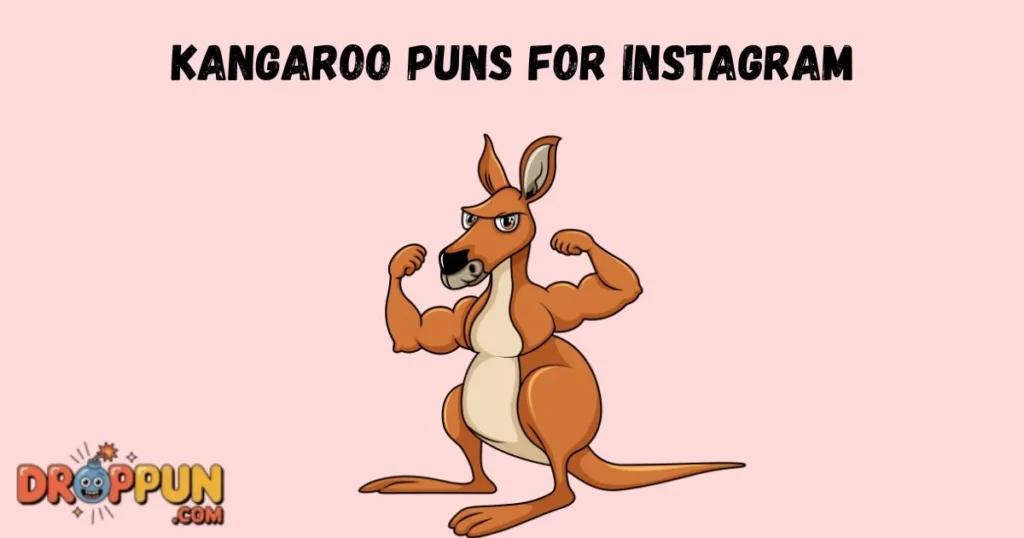 Kangaroo Puns For Instagram